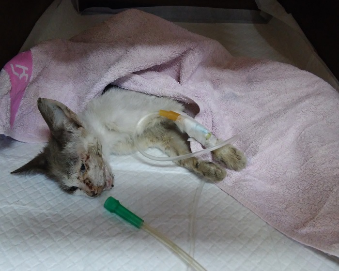 종료(방사) 한국 …